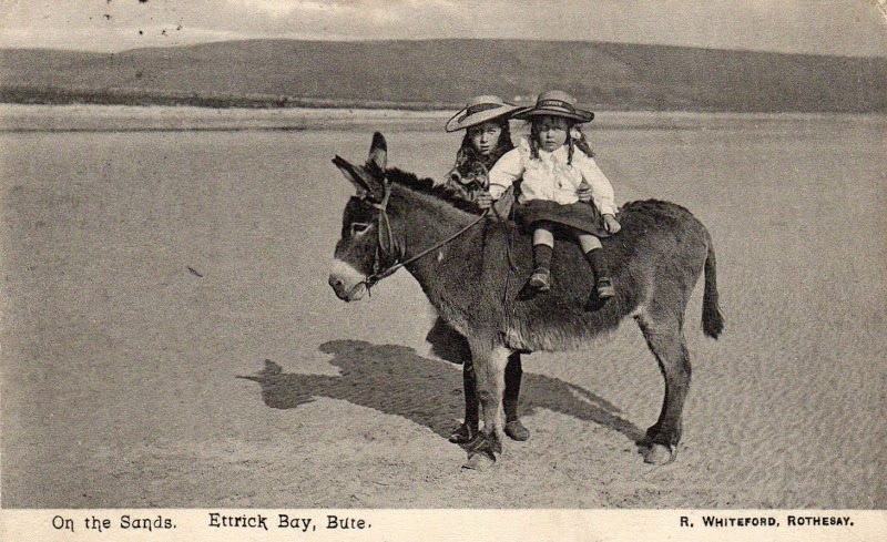 5 things you didn’t know about Ettrick Bay